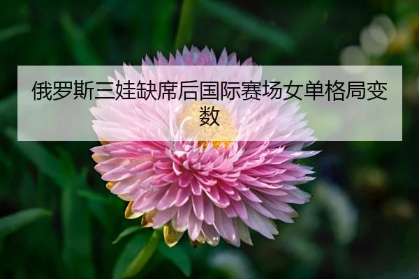 e-luo-si-san-wa-que-xi-hou-guo-ji-sai-chang-nv-dan-ge-ju-bian-shu-3-846.jpg