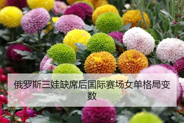 俄罗斯三娃缺席后国际赛场女单格局变数