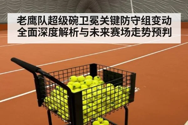 老鹰队超级碗卫冕关键防守组变动全面深度解析与未来赛场走势预判