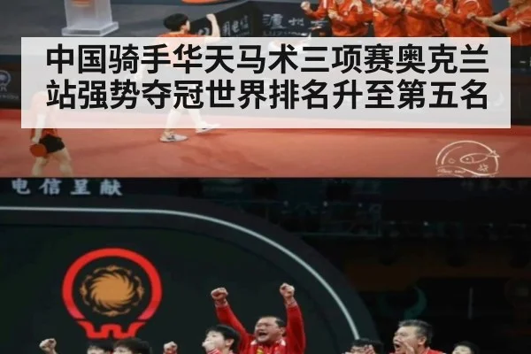 中国骑手华天马术三项赛奥克兰站强势夺冠世界排名升至第五名